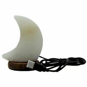 Lampe de sel en forme de lune avec entrée USB un souffle d'art mot ni